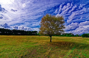 Fototapeta premium beautiful autumn day in Nuremberg