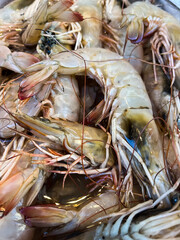 Close up view of shrimp background - 681480623