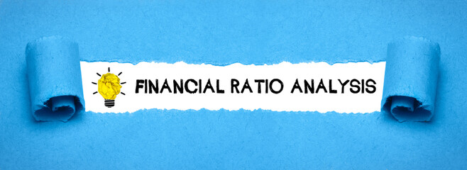 Financial Ratio Analysis	