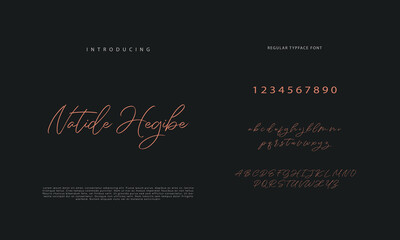 Handwritten Script font. Hand drawn brush style modern calligraphy cursive typeface. Hand Lettering and Custom Typography alphabet for Designs: Logo, Greeting Cards, Poster. Vector Brush type set.
