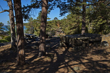 Hiking track on Stora Krokholmen in Stend&ouml;rrens Naturreservat in Sweden, Europe
