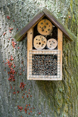 House for insects. A box made of bark, straw and stones. Bricks, cones and bamboo for the insect to settle there. Home hotel for wild bees. Eco friendly do-it-yourself craft for a garden DIY gardening