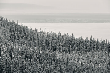 Image from a Sunday hike to the Tjuvaasen Hill and Osthogda Hill, part of the Totenaasen Hills, Norway, in winter.