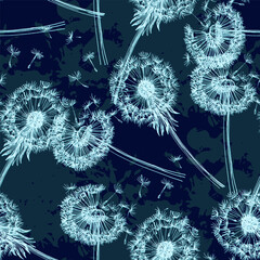 Seamless dandelion pattern, vector plant.