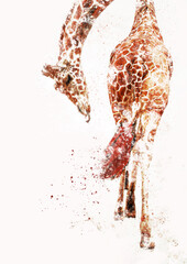 Colorful giraffe illustration, isolated against a white background.