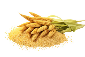 Clean Canvas for Nutrient-Rich Millet Isolated on a transparent background