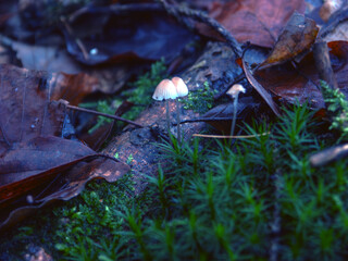 Herbst 2023