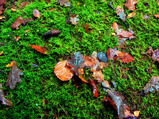 Herbst 2023