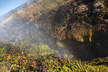 Steam vent at Hawai'i Volcanoes National Park, Island of Hawai'i