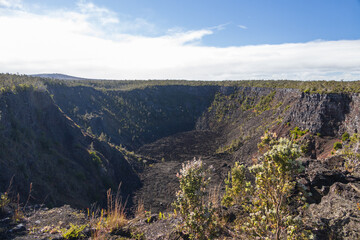 Naklejka premium Volcano crater in Hawai'i volcanoes national park, Hawai'i