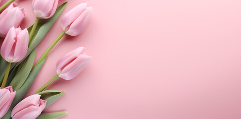 Obraz premium Tulips flowers pink template for congratulation.Woman's day, 8 march, Easter, Mother's day, anniversary