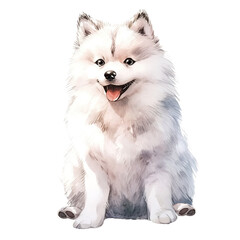 Watercolor white fluffy cute dog isolated - 681507616