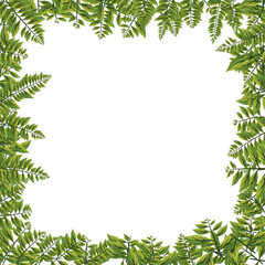 Fototapeta na wymiar Frame leaves