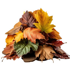 A pile of autumn dry leaves, isolated on white or transparent background.