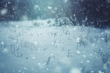 serene winter scene with snow flakes falling on the ground
