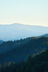 Tranquil Alpine Majesty: Verdant Peaks and Serene Valleys