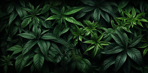 dark green leafy background