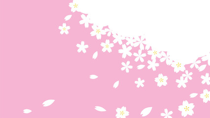 春　桜の背景素材