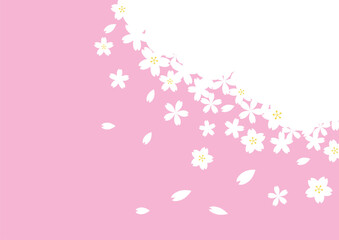 Obraz na płótnie Canvas 春　桜の背景素材