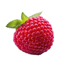 Raspberry isolated on transparent or white background. Generative Ai. 