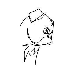 Pug vector illustration