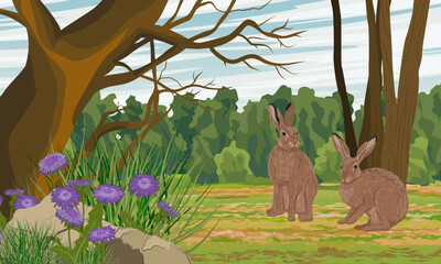 A pair of brown hares are sitting in a clearing in the forest. Animals of Europe. Realistic vector landscape