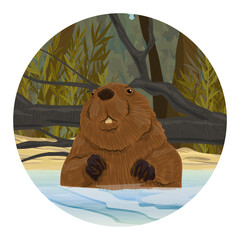 Round composition. A beaver looks out of the water near the river bank. Realistic vector landscape