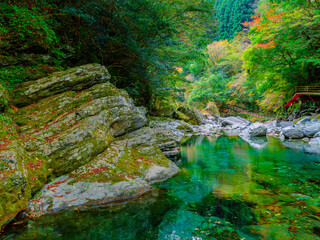 紅葉した秋の川の渓流　高知県　安居渓谷
