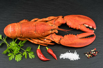 Hummer als Suppe oder als Surf and Turf