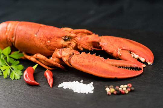 รูปภาพHummercremesuppe – เลือกดูภาพถ่ายสต็อก เวกเตอร์ และวิดีโอ70 ...
