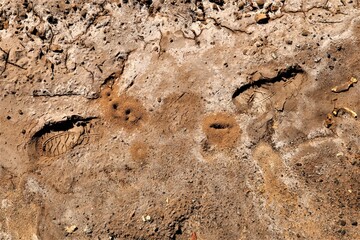 The size of Anthills compared to a man's footprints in the park's sandy soil, Top view. Ants nest,...
