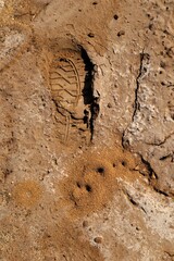 Footprint. Footprints man on the mud, sand soil. Human footprint on the earth, soil land. Track, Tracks