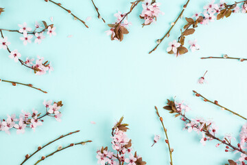 Cherry blossoms in the spring season, pink japanese sakura on a blue background, easter holiday