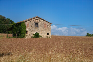 Rural landscape in Umbria near Casteltodino