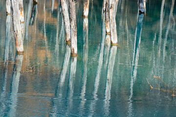 黄葉した林を映す青い池の湖面
