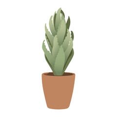 Cactus plant in pot on white background, cute exotic floliage. Hand Drawn doodle style, vector illustration	