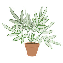 Paper houseplant in pot on white background, cute exotic floliage. Hand Drawn doodle style, vector illustration.