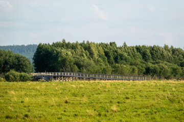 The municipal nature reserve Stadssjön is a green oasis in Hedemora