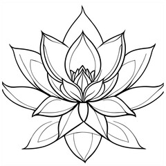 lotus flower vector