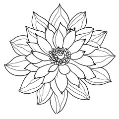 Fototapeta premium black and white flower