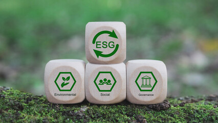 Words ESG  on Environment, Society on a wood block esg investment esg sustainable corporate...