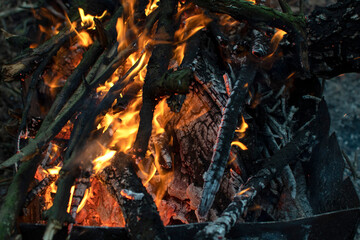 Closeup view of a flames of a fire	