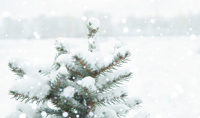 Fototapeta na wymiar Christmas tree in the snow on the street in a snowfall. Copy space. 