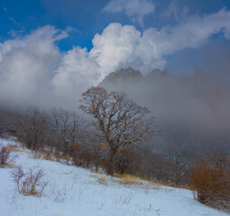Obraz na płótnie Canvas winter snowbound mountain valley in dense mist and clouds