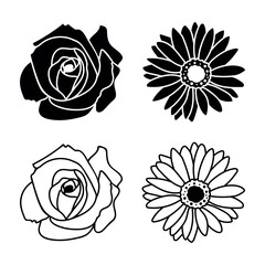 Silhouette and line art of flowers rose and gerbera isolated on white