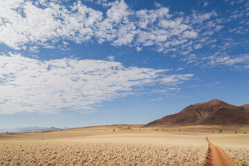 Red desert sand track 