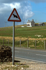 Loutre d'europe, Lutra lutra , Panneau routier, passage de loutres, Iles Shetland, Ecosse, Grande Bretagne