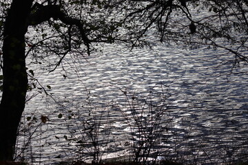 View of the lake and forest in autumn