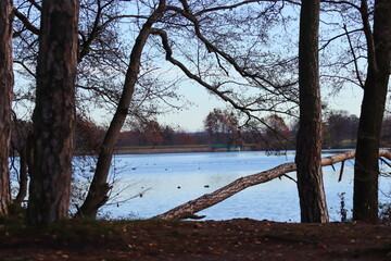 View of the lake and forest in autumn