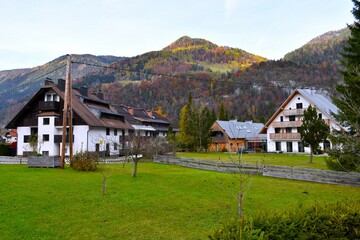 Houses in Gozd Martuljek village in Gorenjska, Slovenia with autumn colored forest covered Karavanke mountains